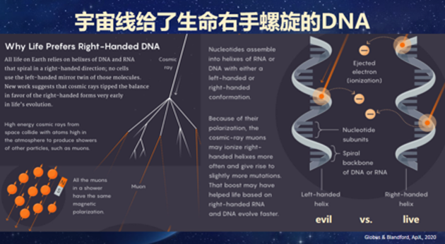 科学探索对孩子的意义_科学探索内容有哪些_探索科学