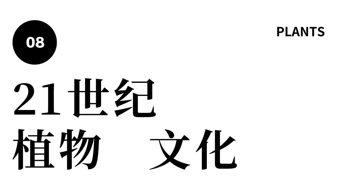 探索世界的本质的知识点_探索世界_探索世界与把握规律