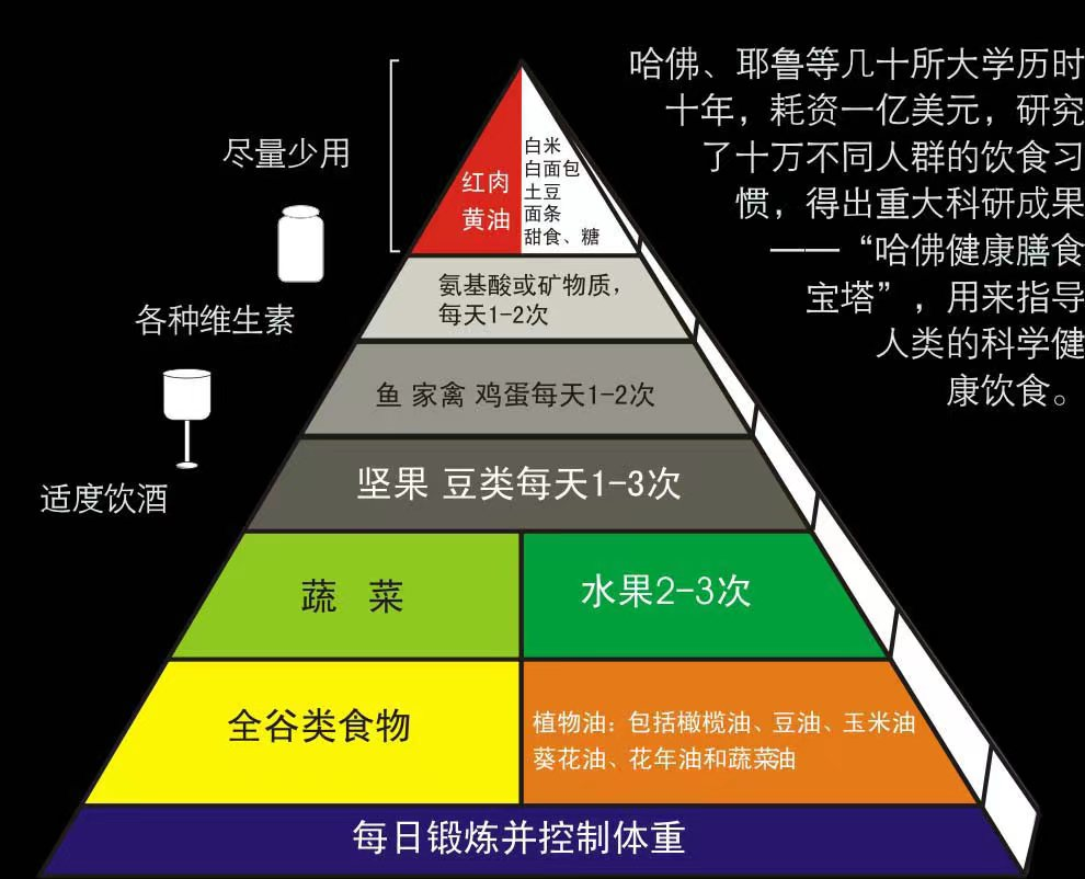 全国学生营养日宣传活动_全国学生营养日宣传图片_全国学生营养日