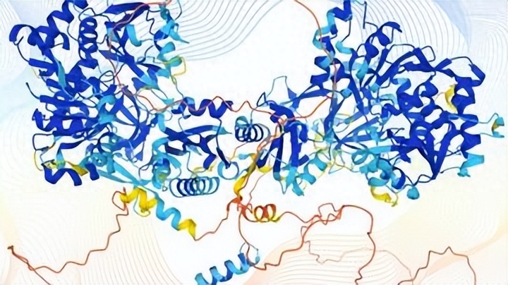 探索性因子分析_探索性因子分析_探索性因子分析