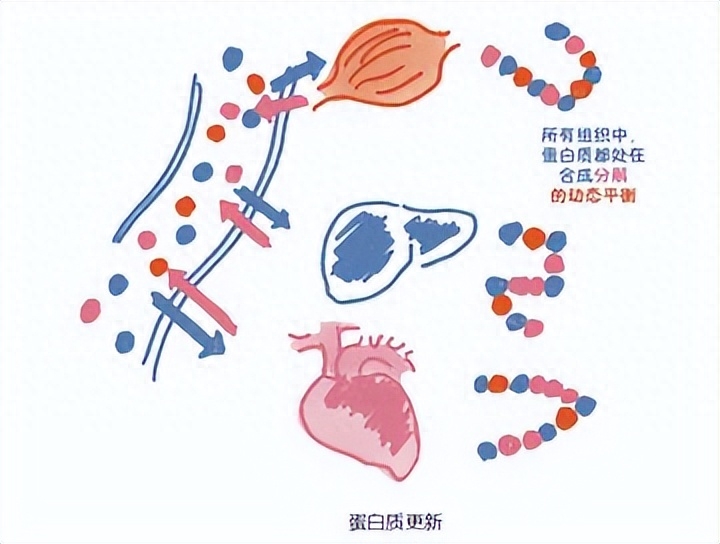 探索性因子分析_探索性因子分析_探索性因子分析