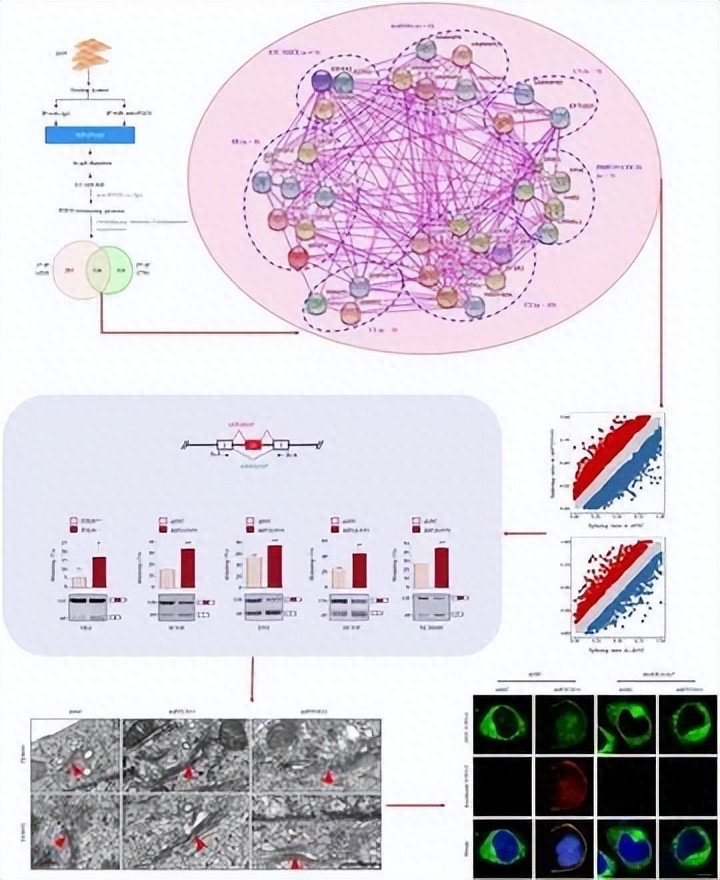 探索性因子分析_探索性因子分析_探索性因子分析