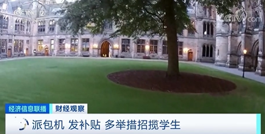 美国学校_学校美国踢裆_学校美国白蛾防控方案