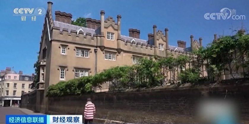 学校美国踢裆_学校美国白蛾防控方案_美国学校
