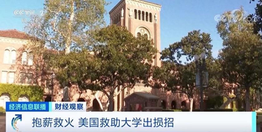 学校美国白蛾防控方案_美国学校_学校美国踢裆
