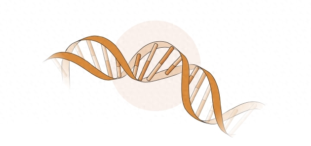 科学探索对孩子的意义_科学探索_科学探索内容有哪些