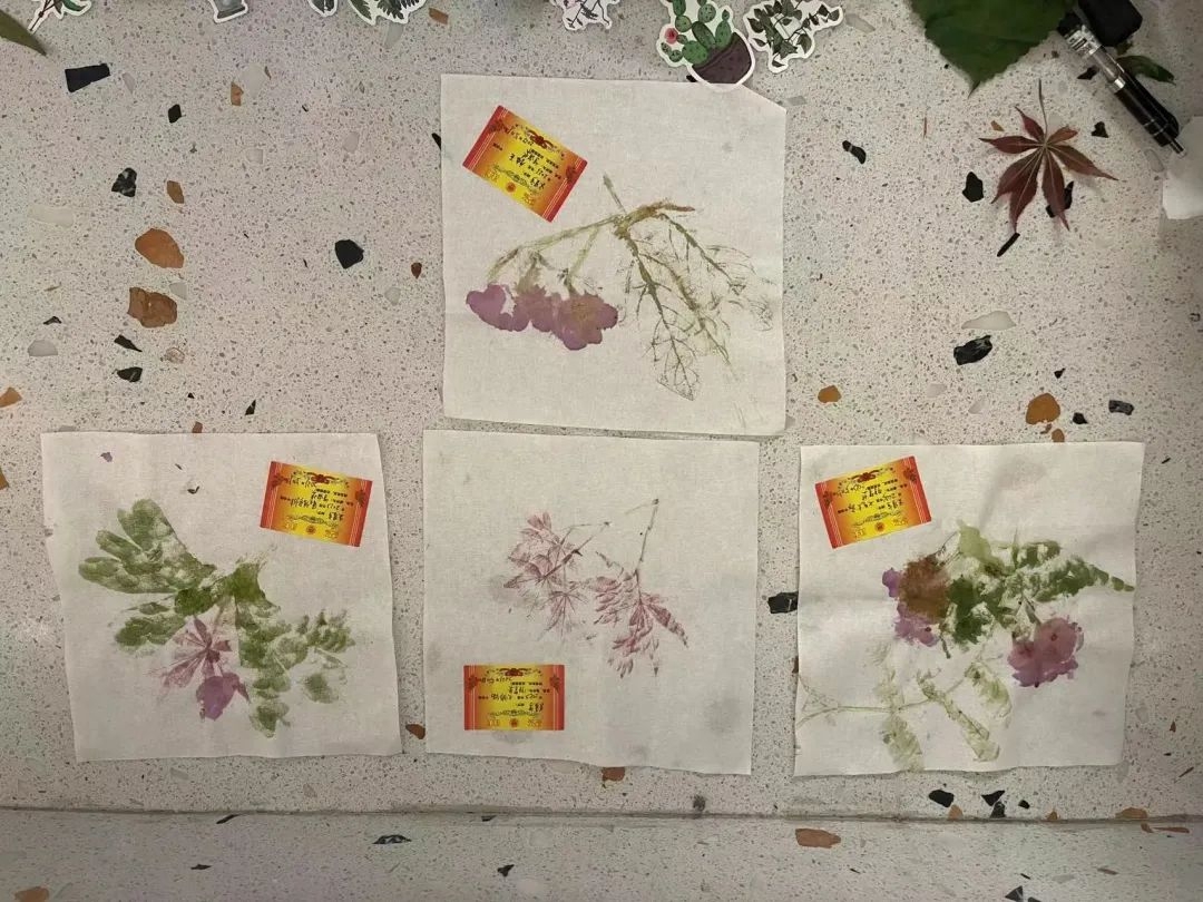 科学探索者读后感_科学探索内容有哪些_科学探索