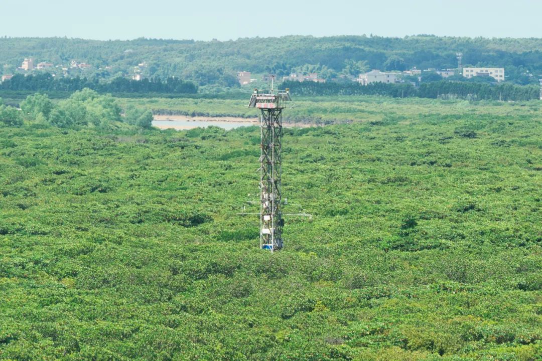 探索地球村_地球探索队长_探索地球村2动漫