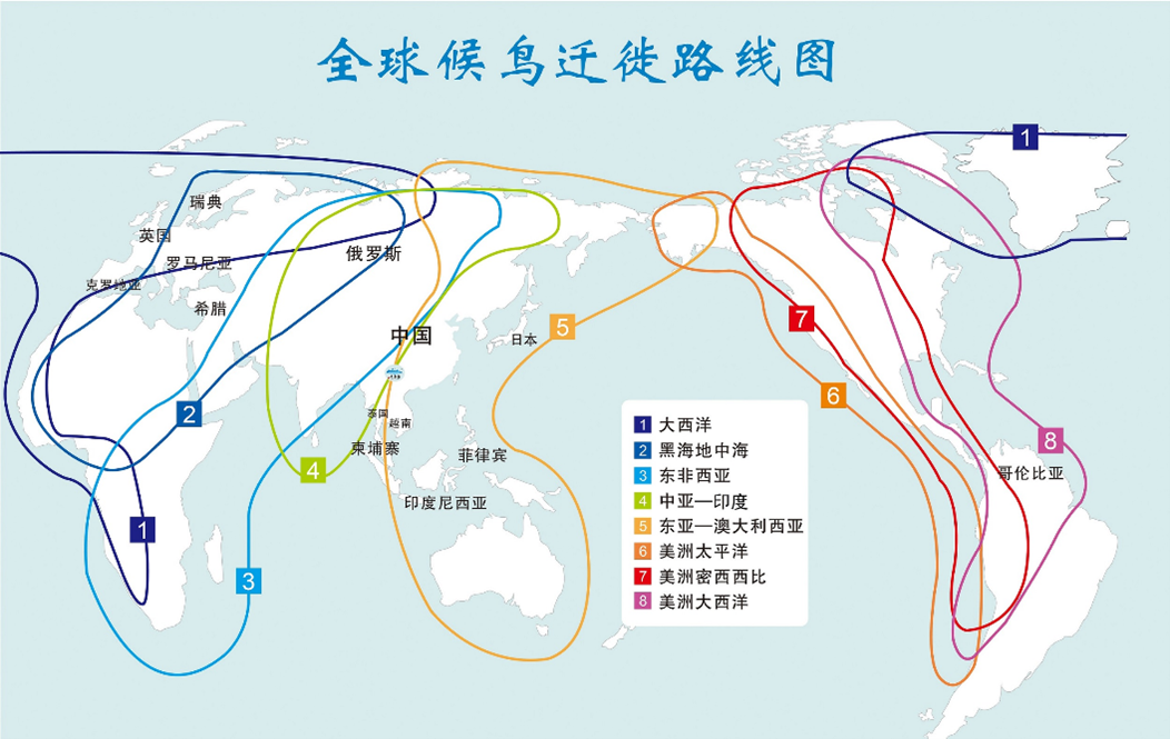 探索地球村_探索地球村2动漫_地球探索队长