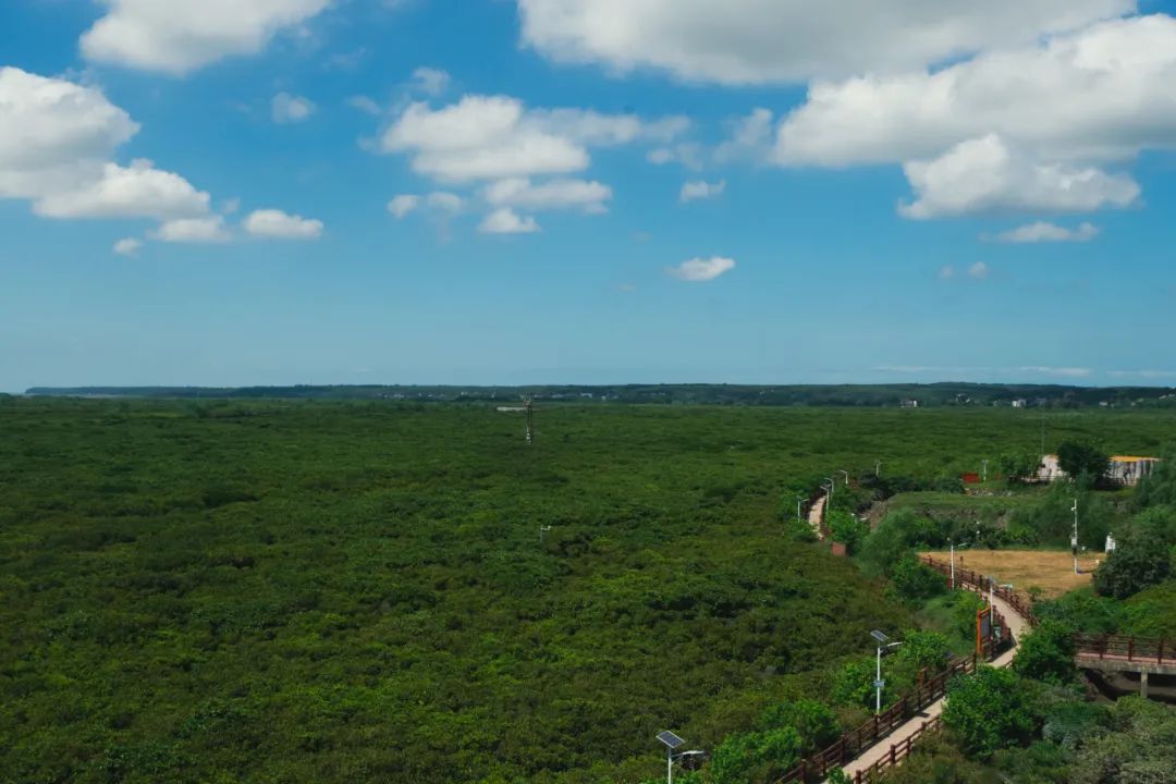 地球探索队长_探索地球村2动漫_探索地球村