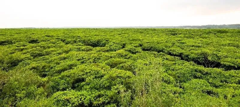 探索地球村_探索地球村2动漫_地球探索队长