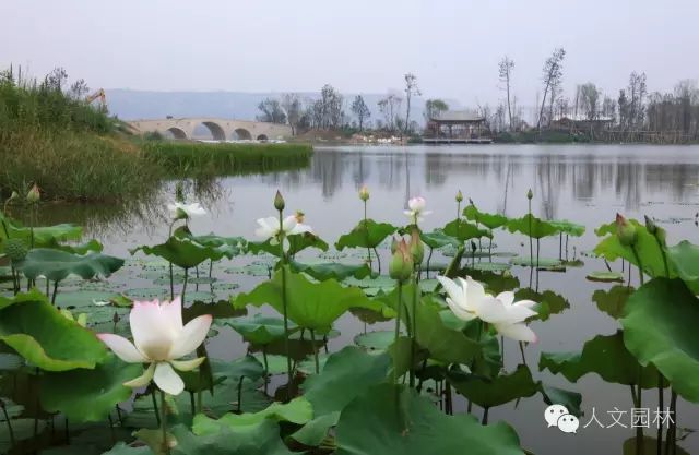 韩城文史公园地址_韩城文史公园拆除违建_韩城文史公园怎么停止不建了