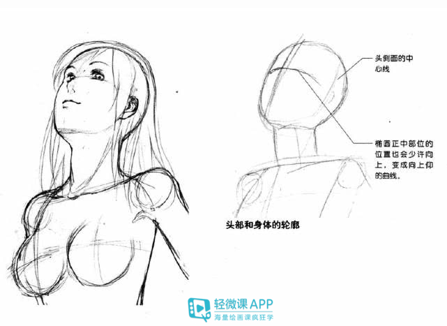 俯视动漫人体怎么画？人体俯视视角绘画技巧