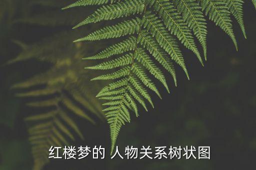  红楼梦的 人物关系树状图