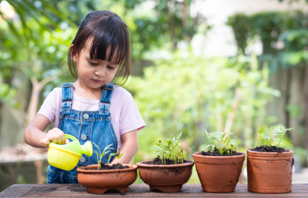 国学幼儿园简介及办学特色_国学幼儿园教什么课_幼儿 国学