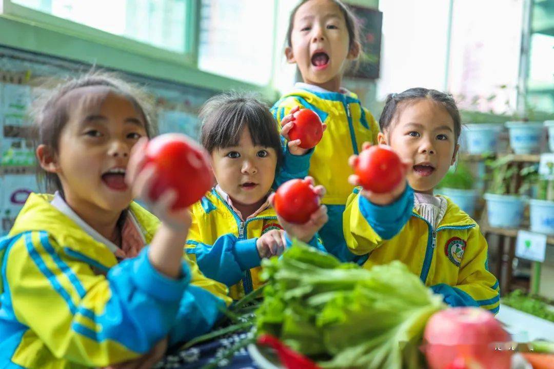 中国学生营养日_中国学生营养日_中国学生营养日
