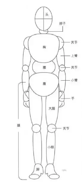 人物动漫化软件_人物动漫画图片大全_怎么画动漫人物