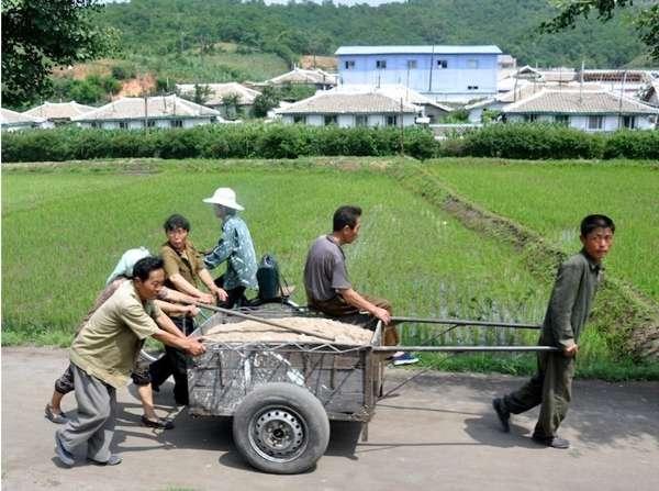 农村社会_农村社会养老保险交多少年_农村社会治理