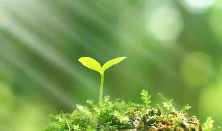 重视家庭家教家风在基层社会治理中的作用体现了以人民为中心的时代要求 重视家庭家教家风在基层社会治理中的作用体现了以人民为中心的时代要求