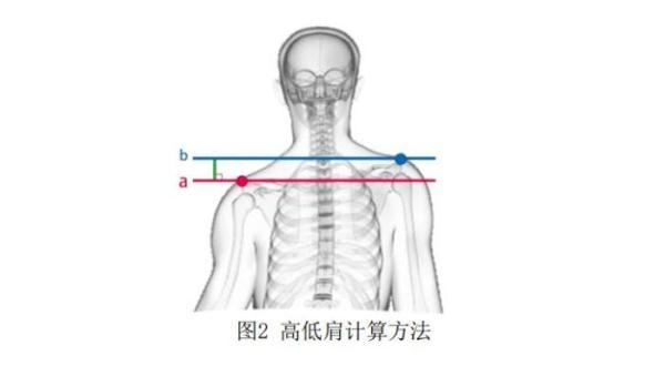 中国学生体质健康网_学生体质健康网csh123_体质健康网学校id