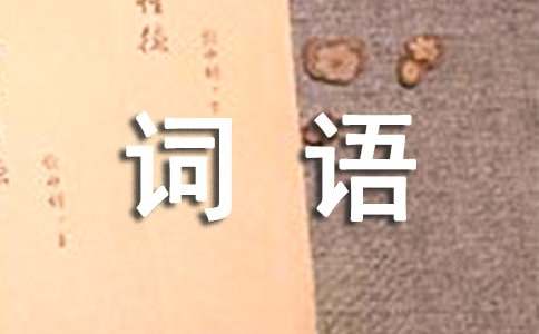 关于神态的词语有哪些