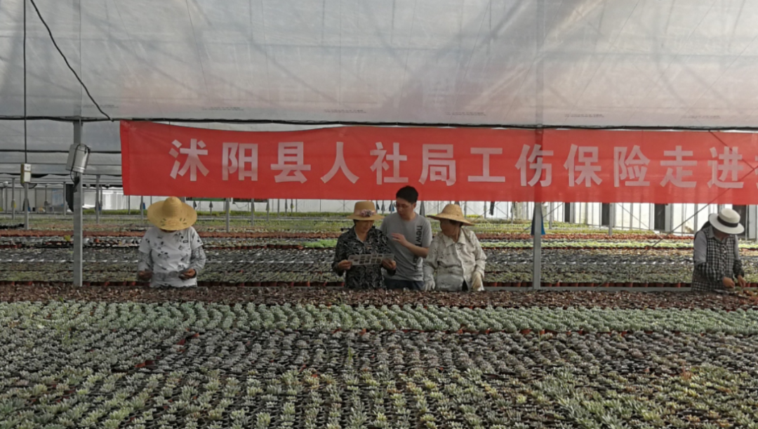 人力资源和社会保障局宿迁_宿迁市人力资源和社会保障局网_宿迁人力和社会保障