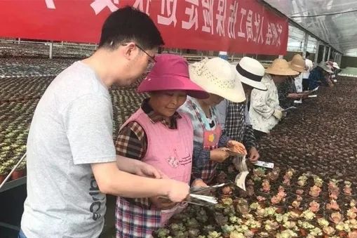 宿迁市人力资源和社会保障局网_人力资源和社会保障局宿迁_宿迁人力和社会保障