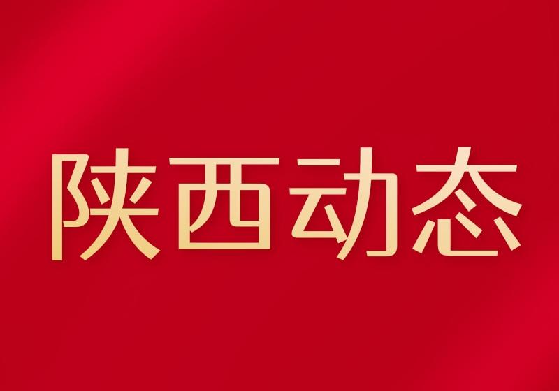 融资规模增量对股市影响_社会融资规模增量_社会融资规模存量和增量区别