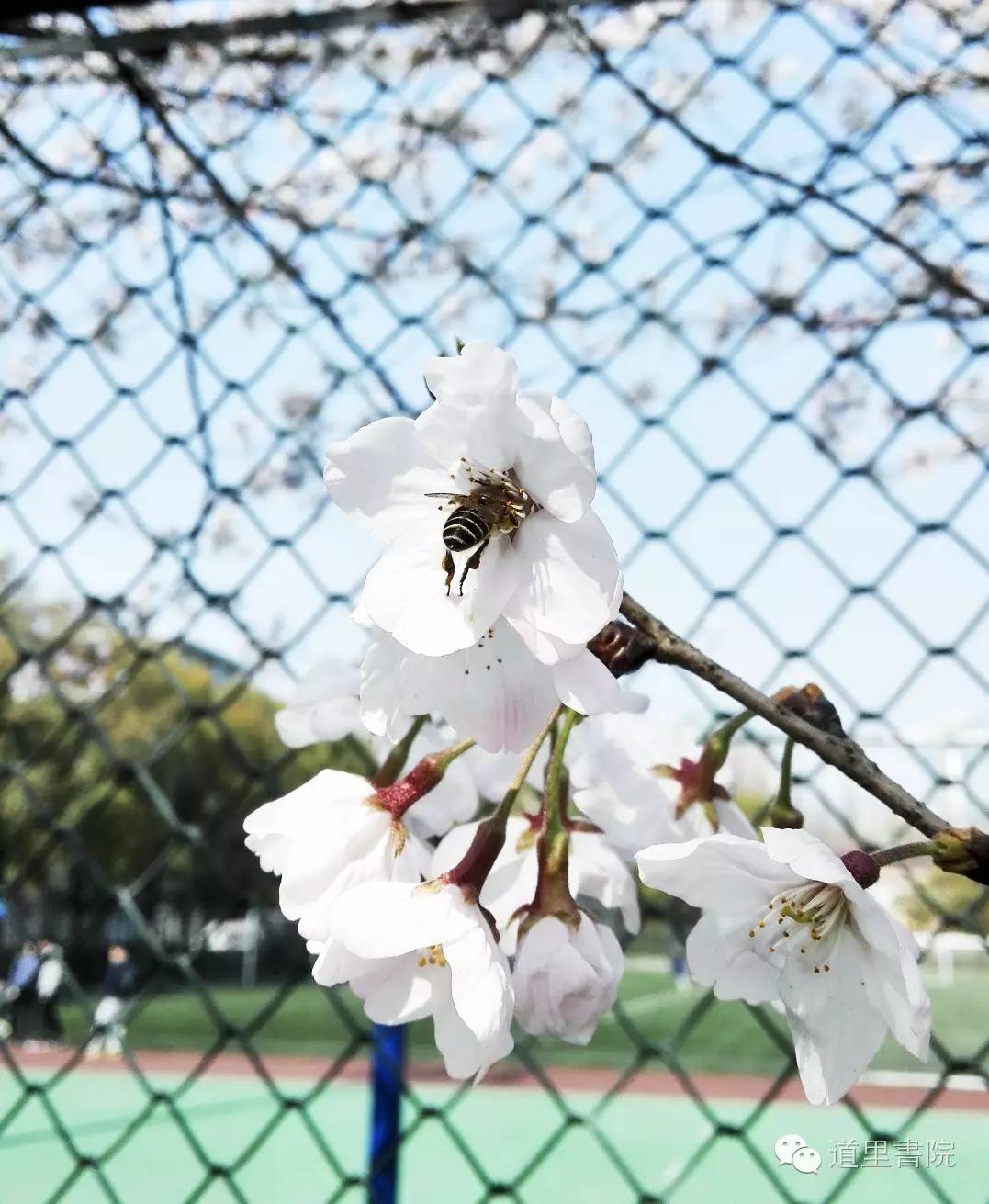 国学老师_国学老师起名_国学老师需要什么资质