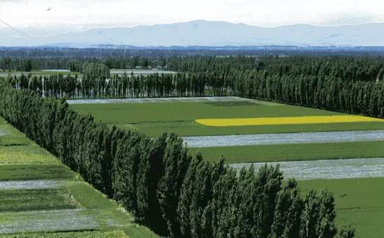 新疆建设兵团历史_新疆建设兵团历史与发展白皮书_新疆生产建设兵团史料选辑