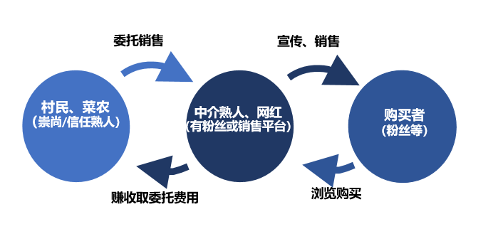 探索视频_视频探索发现_视频探索什么意思