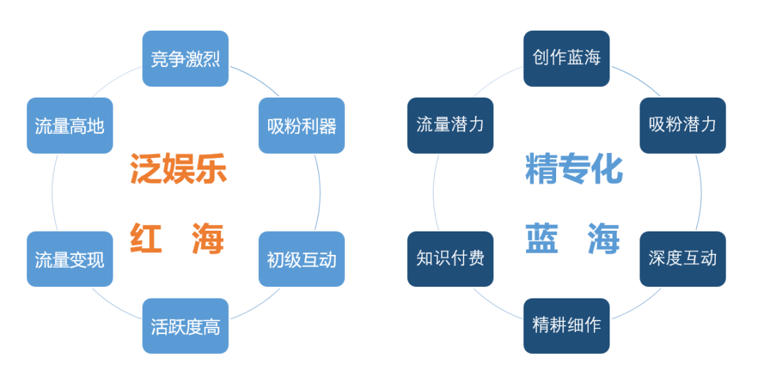 视频探索什么意思_探索视频_视频探索发现