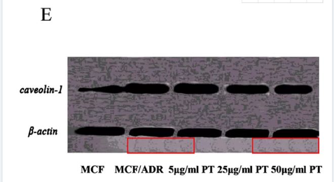 东北工程相关韩国学者论文选_东北工程相关韩国学者论文选_东北工程相关韩国学者论文选