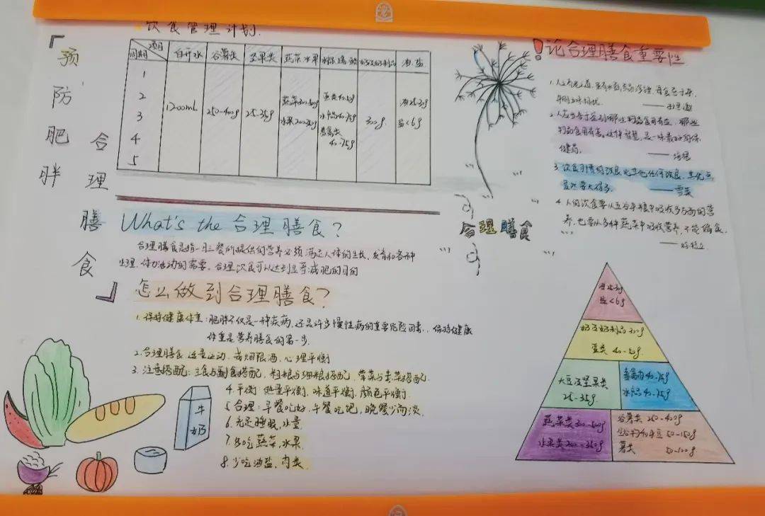 中国学生营养日_中国学生营养与健康促进网站_中国学生营养与健康示范学校