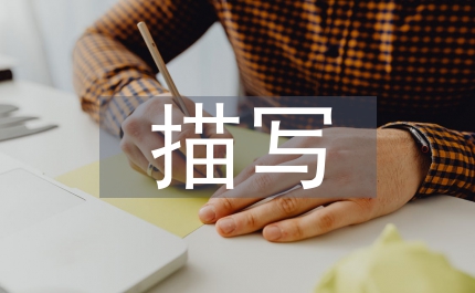关于人物描写的作文