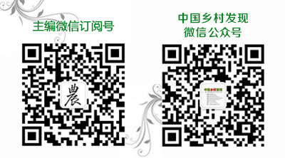 基层社会_基层社会治理存在的问题及对策_基层社会治理