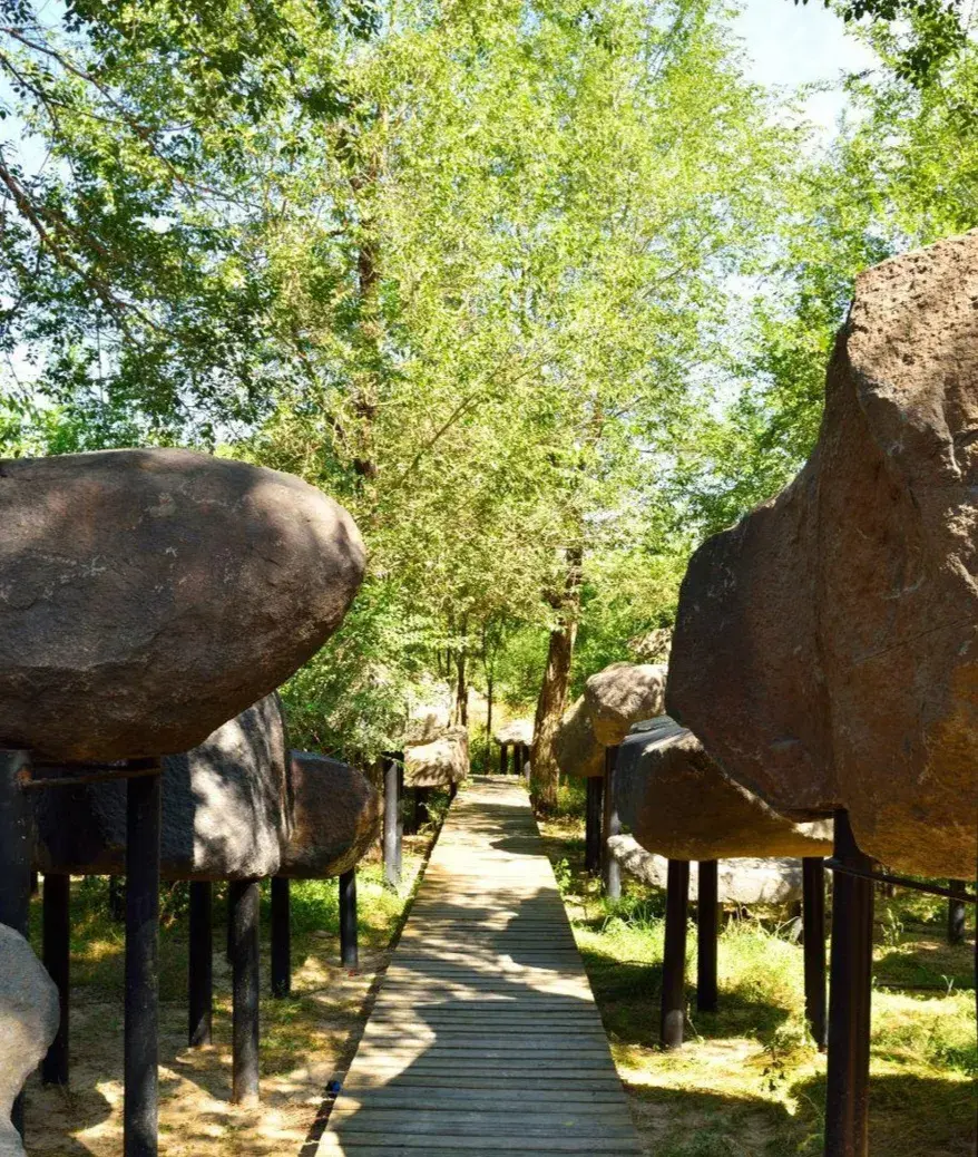 探索自然的句子_探索自然_探索自然奥秘