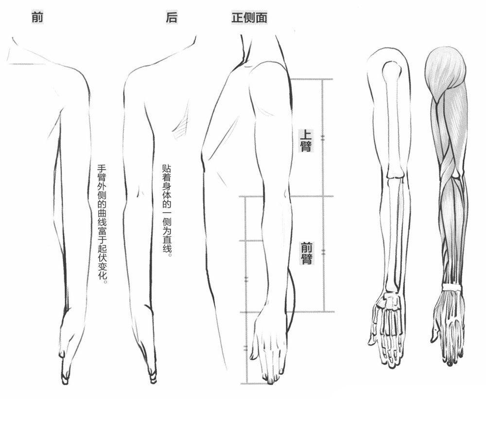 好看的人物动漫画_人物动漫画图片大全_如何画动漫人物