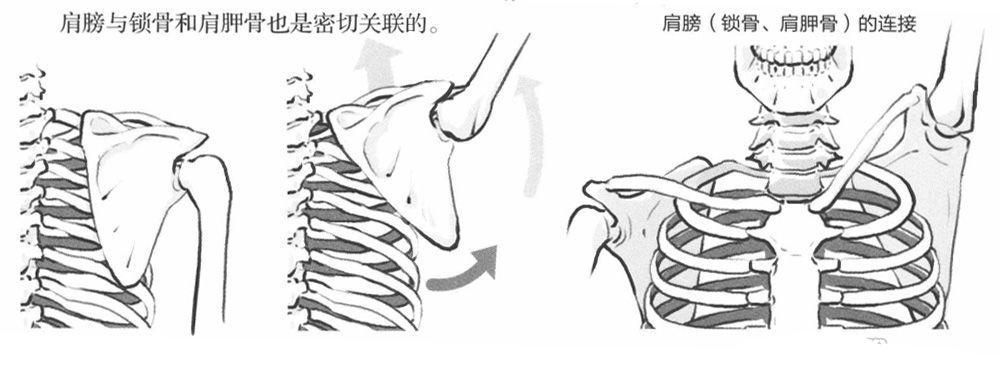 人物动漫画图片大全_好看的人物动漫画_如何画动漫人物