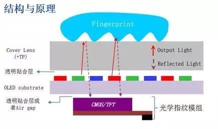 小米探索版手机_小米8探索版_小米探索版和透明版区别