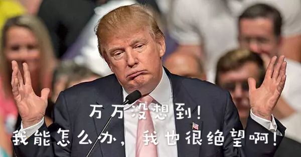 上流社会美国_美国社会_社会美国头像