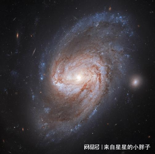 宇宙探索编辑部_宇宙探索编辑部在线观看_探索宇宙