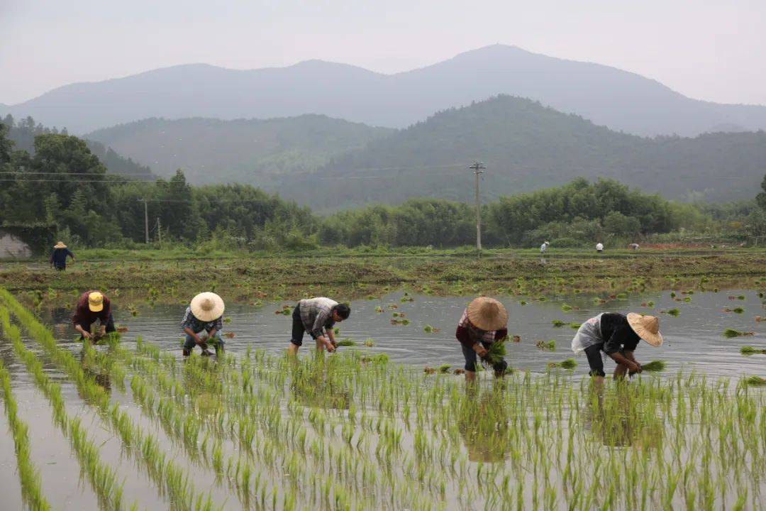 湖州文史馆_湖州文史乌程杯湖酒文化征文_湖州文史