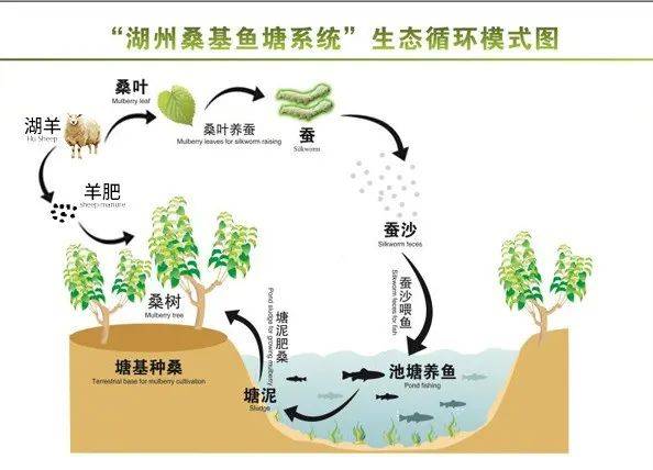 湖州文史乌程杯湖酒文化征文_湖州文史_湖州文史馆