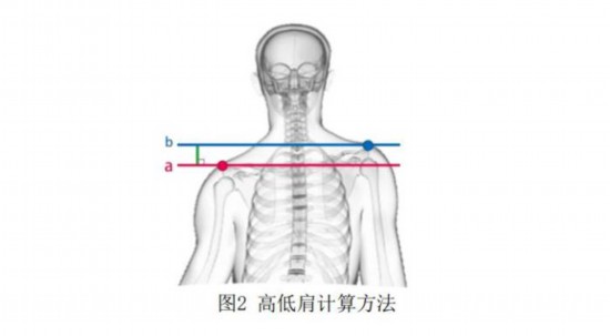 中国学生体质健康网_中国学生体质健康网登录_学生体质健康网csh123