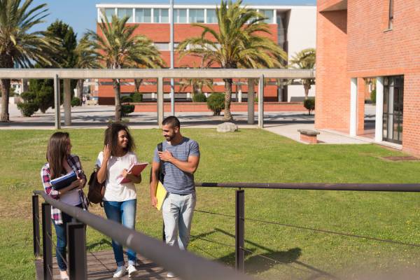 学校美国白蛾防控方案_学校美国政治难不难_美国学校