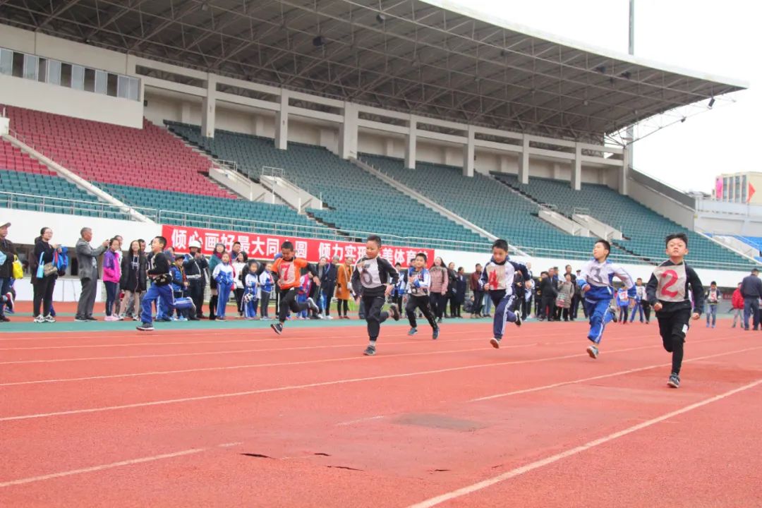 全国学生体质健康数据管理中心_全国学生体质健康网查看_全国学生体质健康网