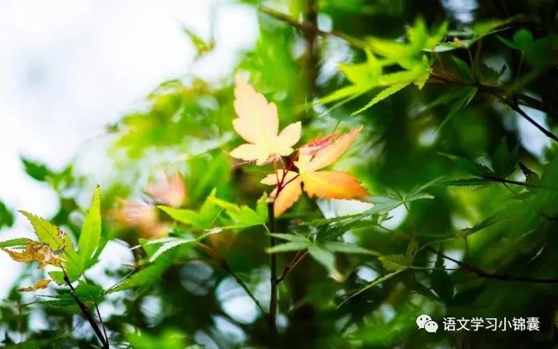 人物绰号水浒传贬义词_水浒传人物绰号_人物绰号水浒传有哪些