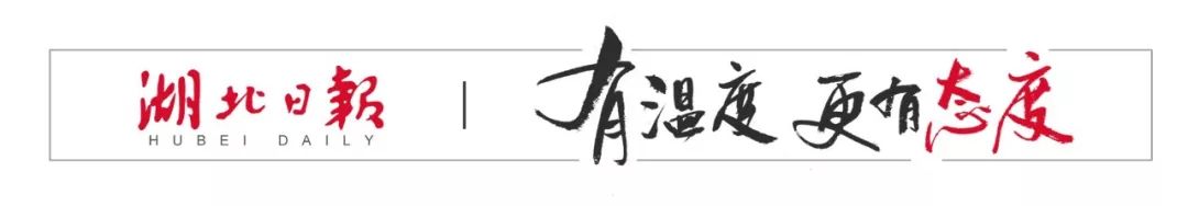 武汉社会保险公共服务平台_武汉市社会保险公共平台_武汉保险网