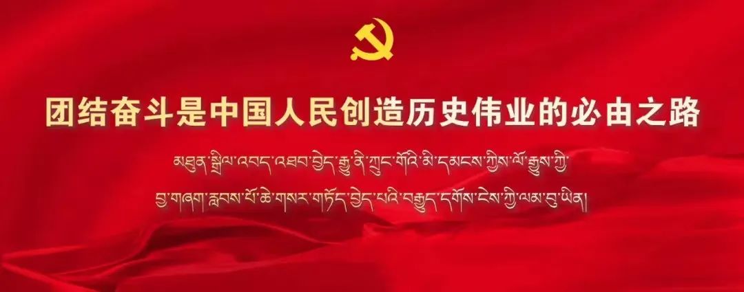 社会主义法治体系_社会主义法治体系_社会主义法治体系